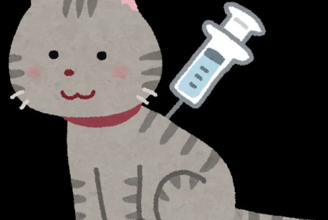 猫の混合ワクチンについて🐱💉