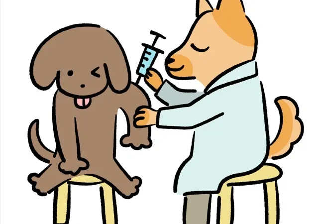 犬の混合ワクチン接種で予防しましょう