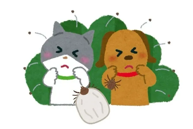 SFTSをご存じですか？？