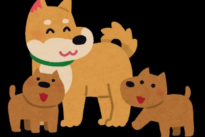 犬の発情期について🐶