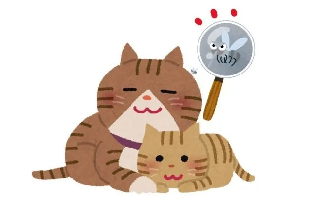 猫もフィラリア症に！