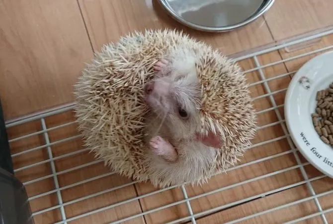 はじめまして