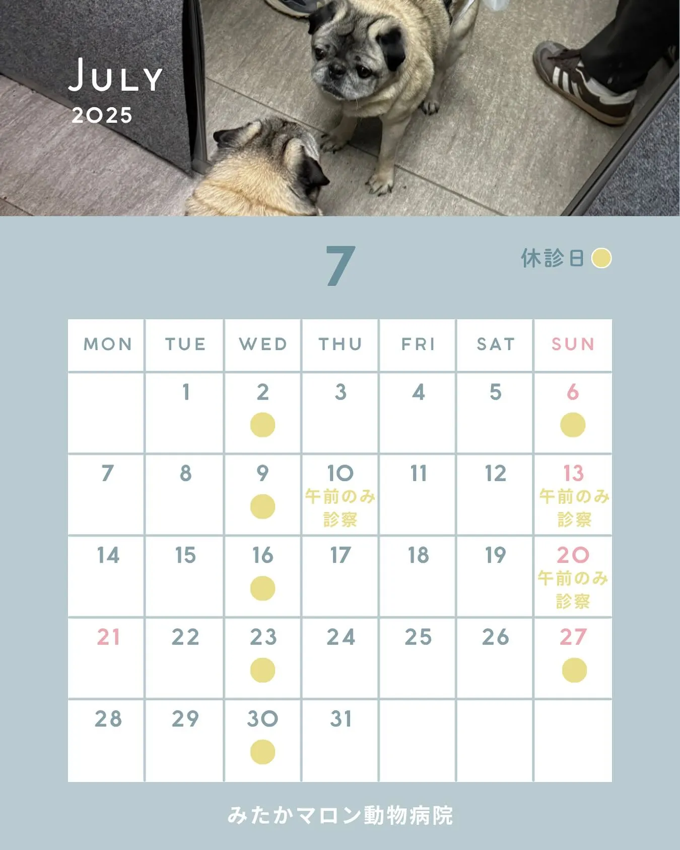 こんにちは🌞
