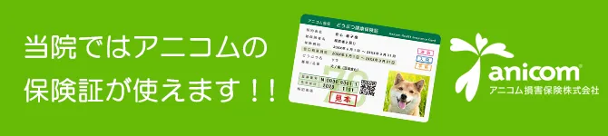 当院ではアニコムの保険証が使えます