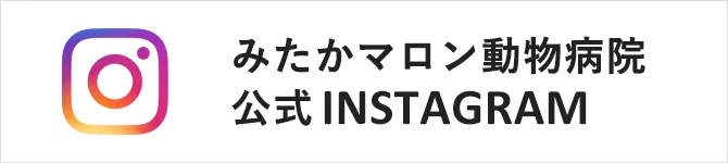 みたかマロン動物病院公式インスタグラム