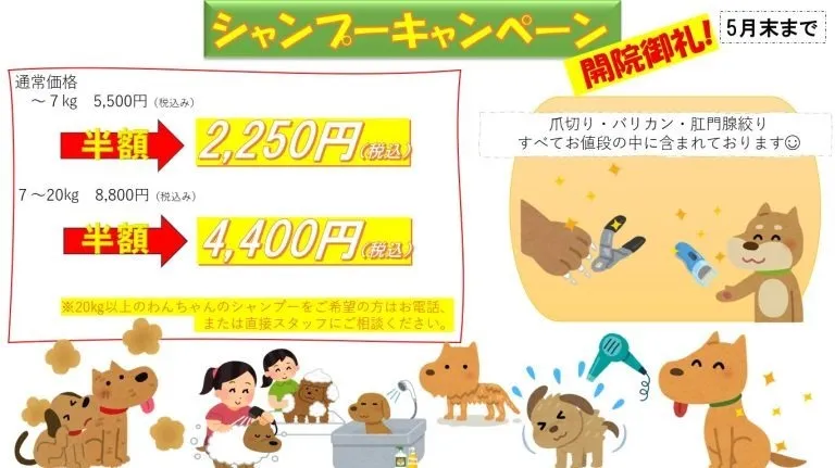 シャンプーキャンペーン実施中
