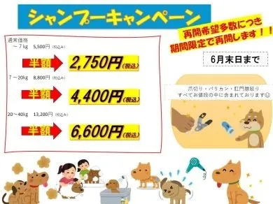 シャンプーキャンペーン好評につき、期間限定で再開します！