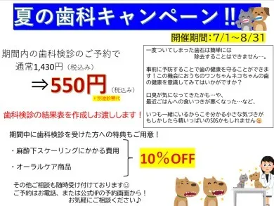 【告知！】夏の歯科キャンペーン実施します！!