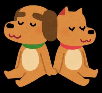 犬の人工授精について