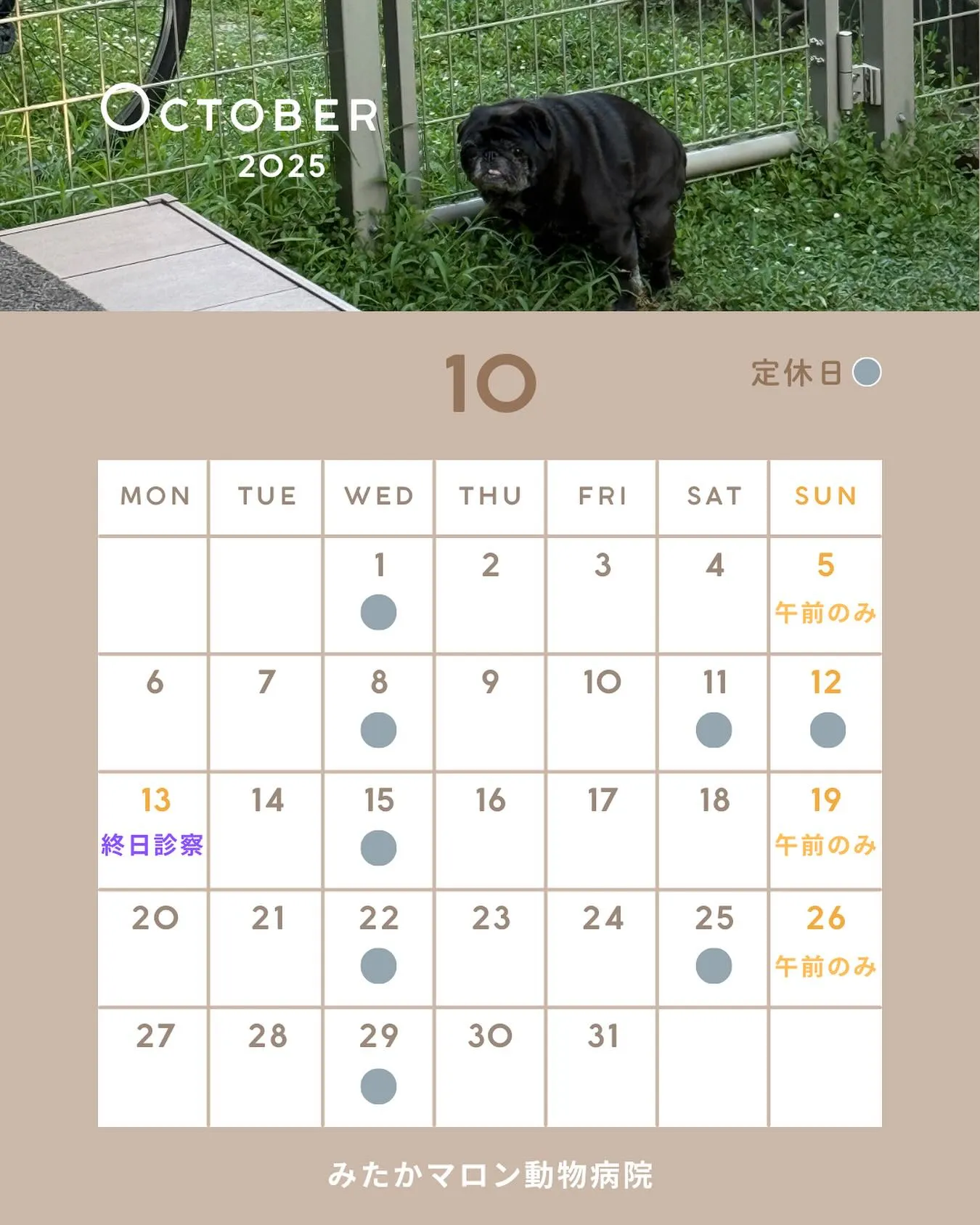 10月の診察日変更しました🙇‍♀️
