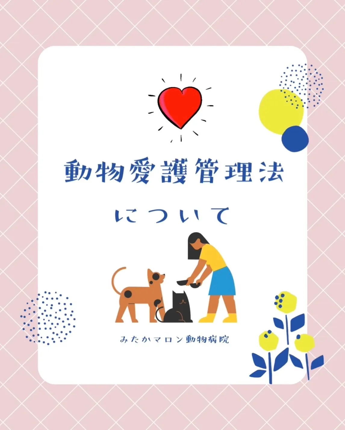 動物愛護管理法について