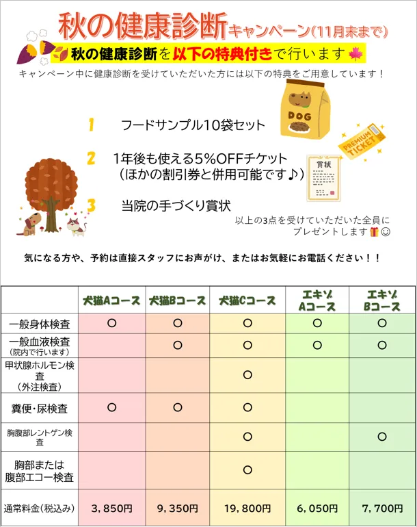 秋の健康診断キャンペーンについて