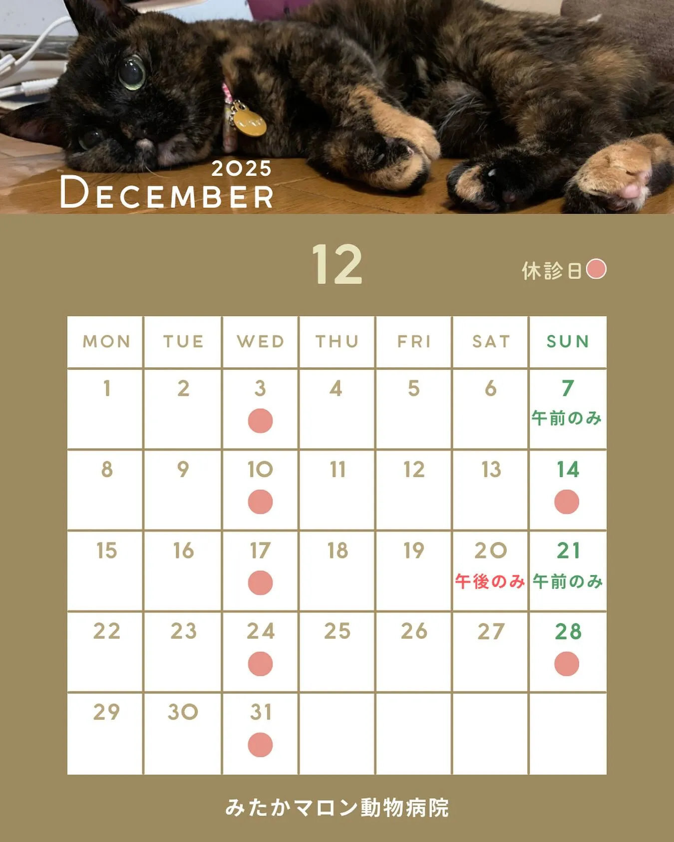 12月の診察日です📢🎄🎅🦌