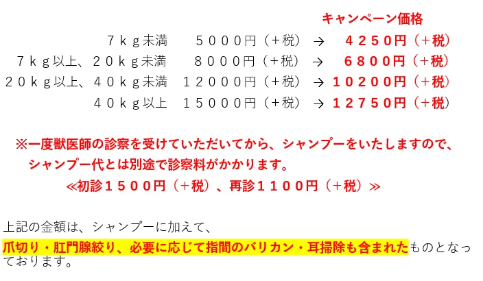 12月 シャンプーキャンペーン