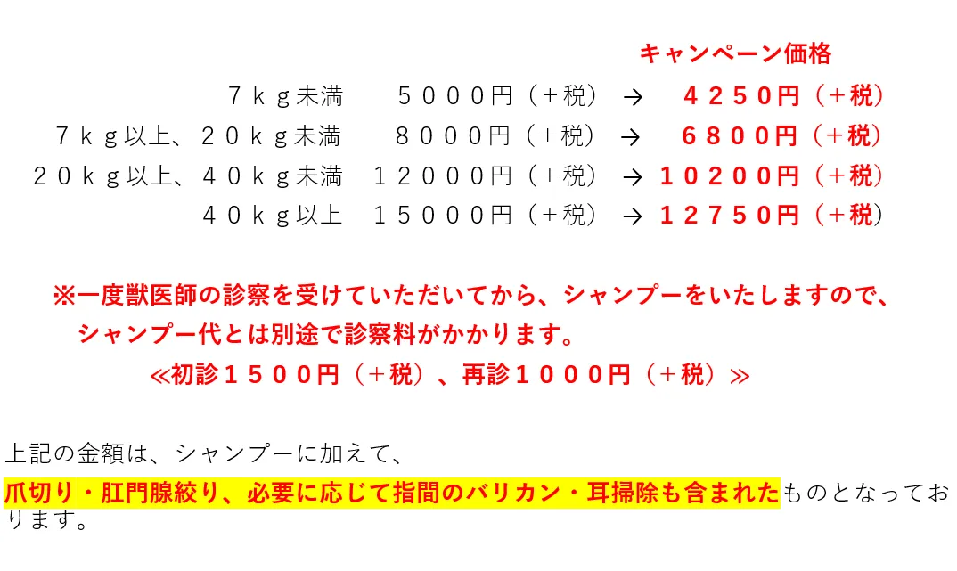 12月 シャンプーキャンペーン