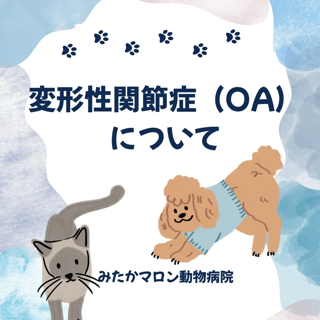 変形性関節症(OA)についてのブログを投稿しました(/・ω・...