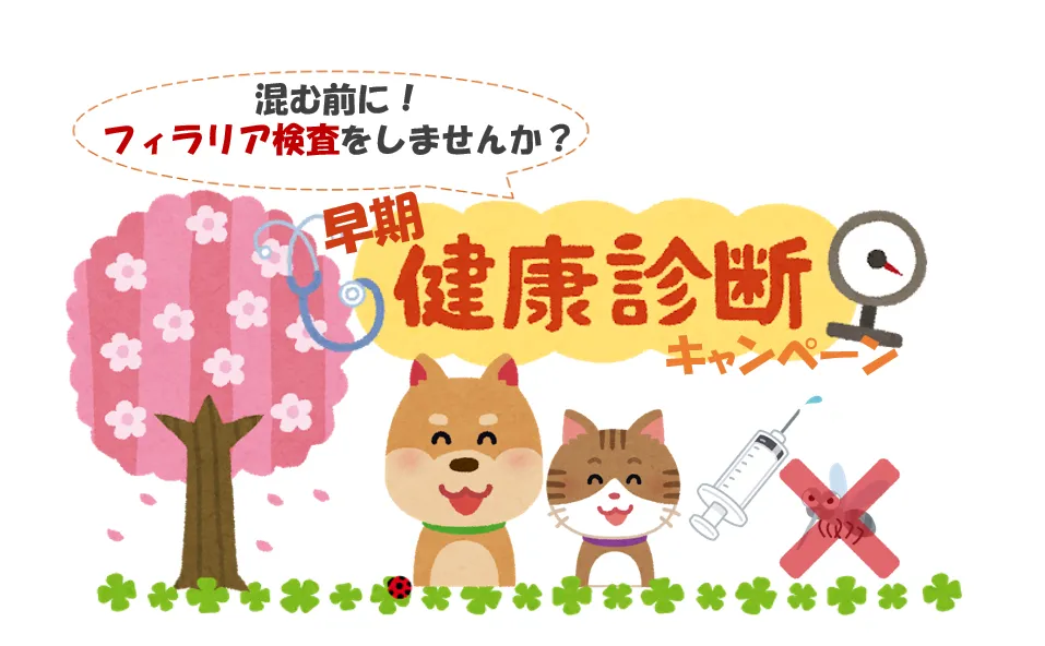 ２０２６年１月・２月フィラリア検査＋健康診断キャンペーン