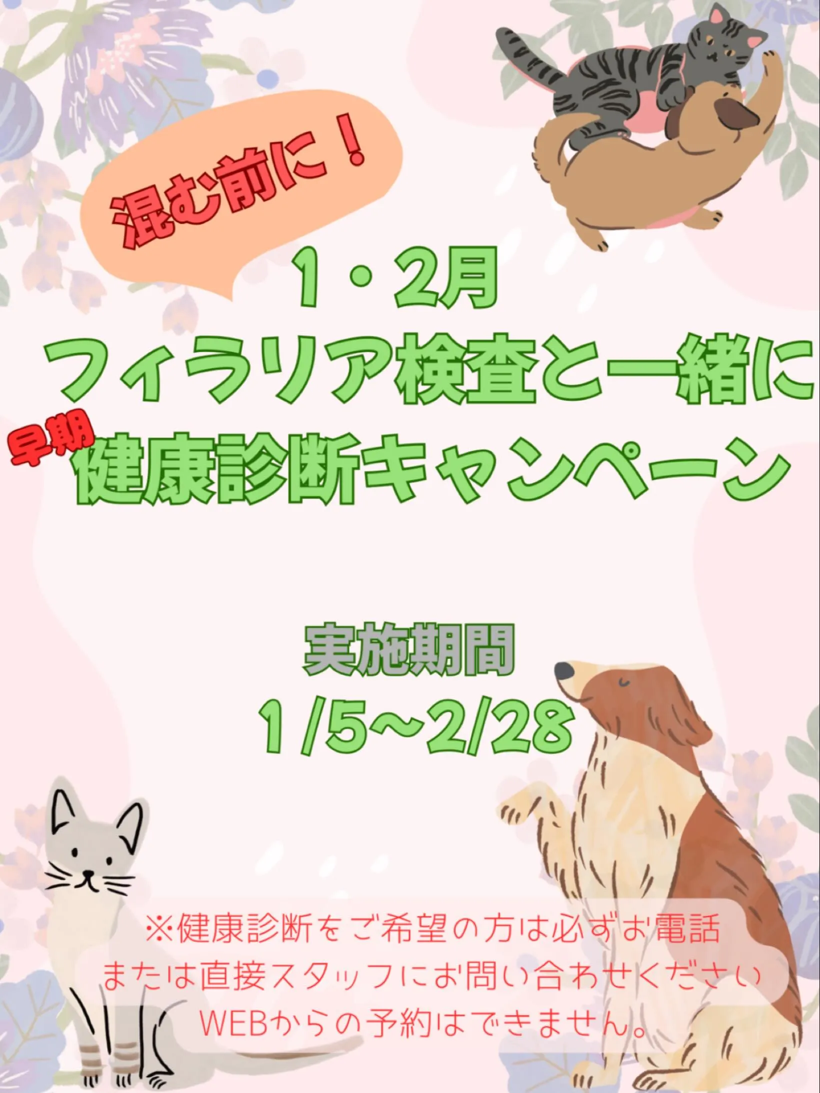 こんにちは！みたかマロン動物病院です🙌