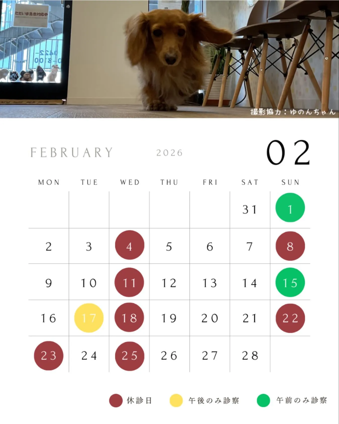 2月の診察日です💌👹🌸