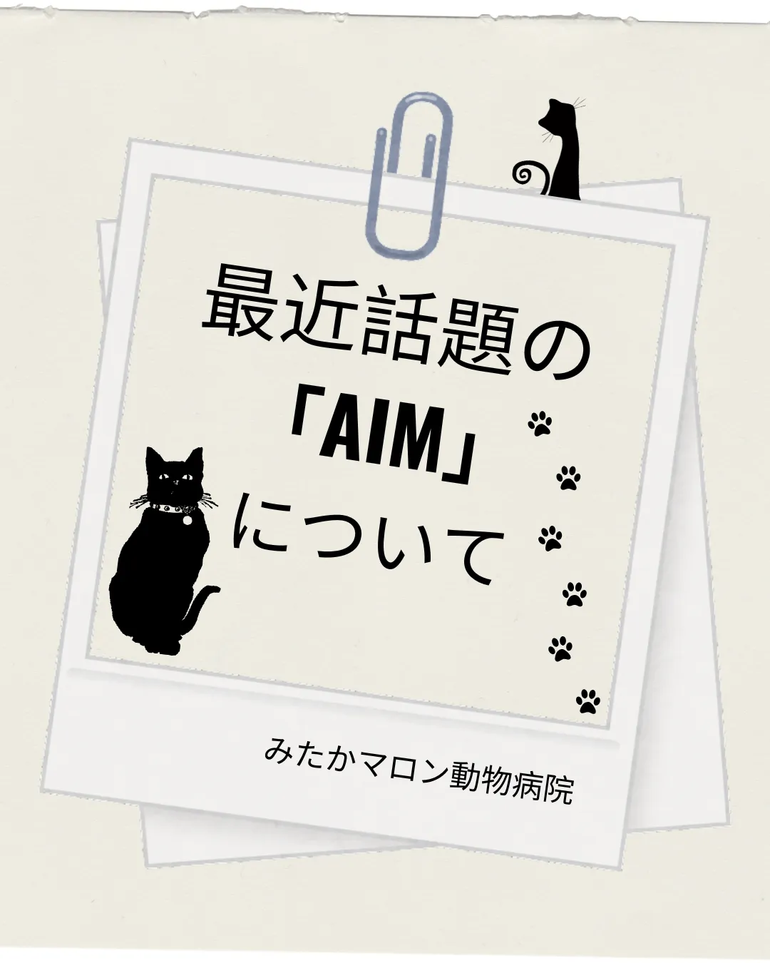 最近話題のAIMについて🐱✨