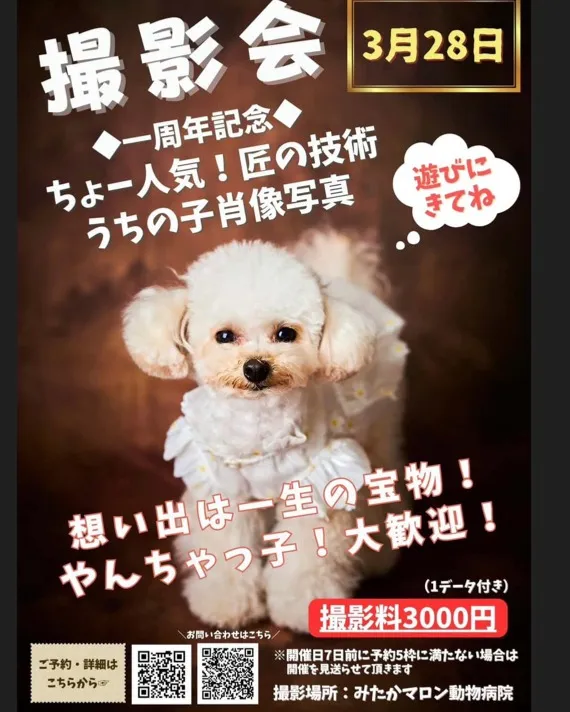 こんにちは!みたかマロン動物病院です。