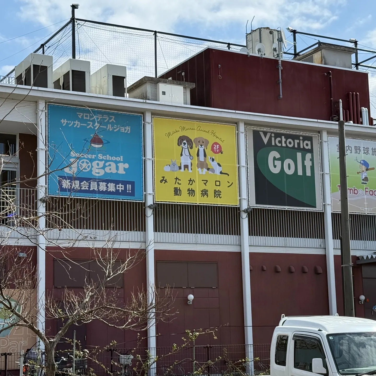 こんにちは！みたかマロン動物病院です🌰