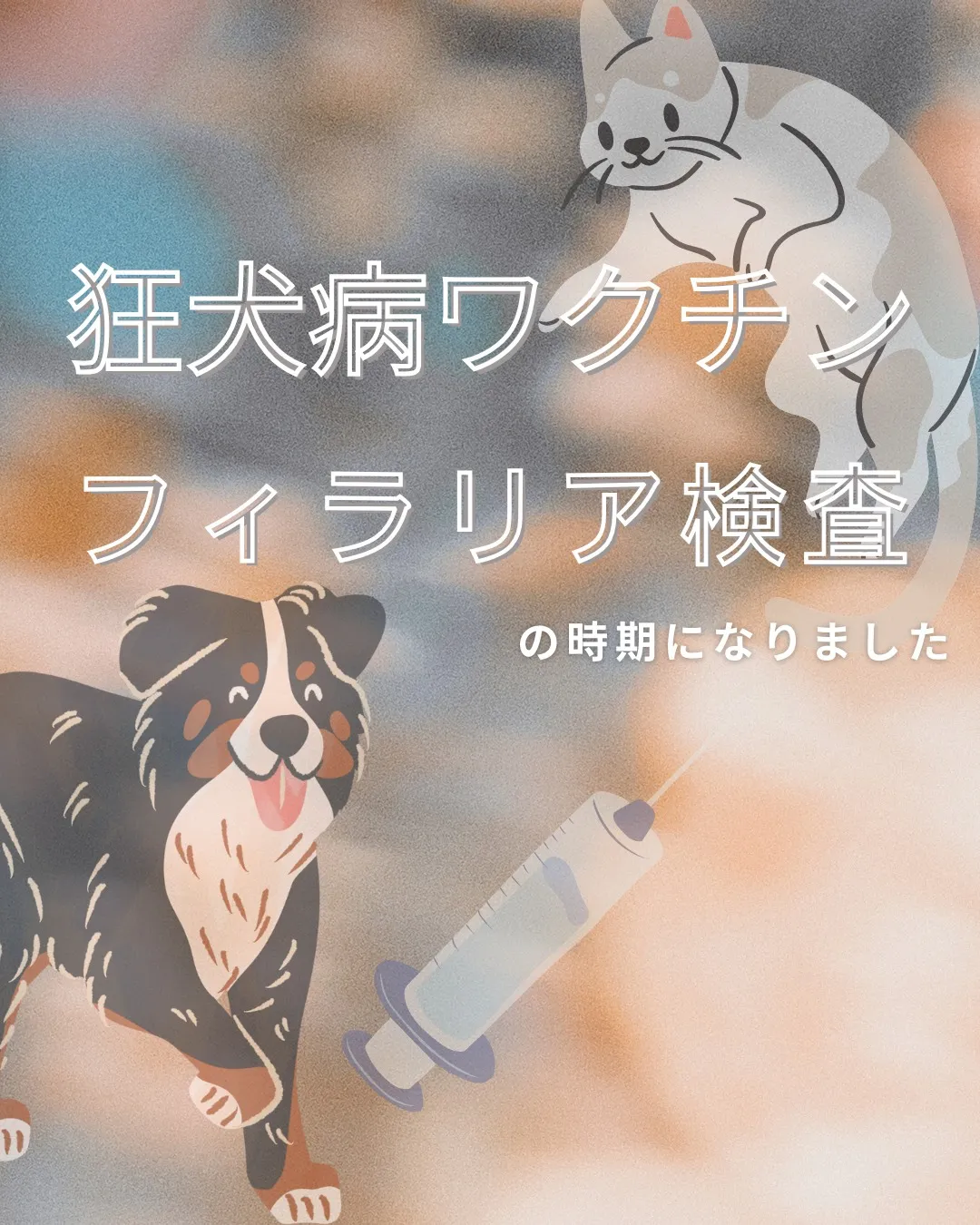 こんにちは！みたかマロン動物病院です🌰