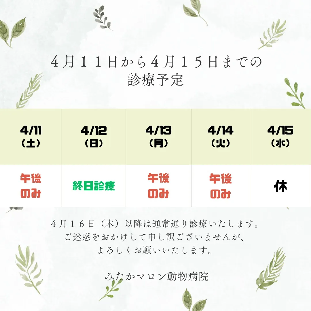 みたかマロン動物病院です。