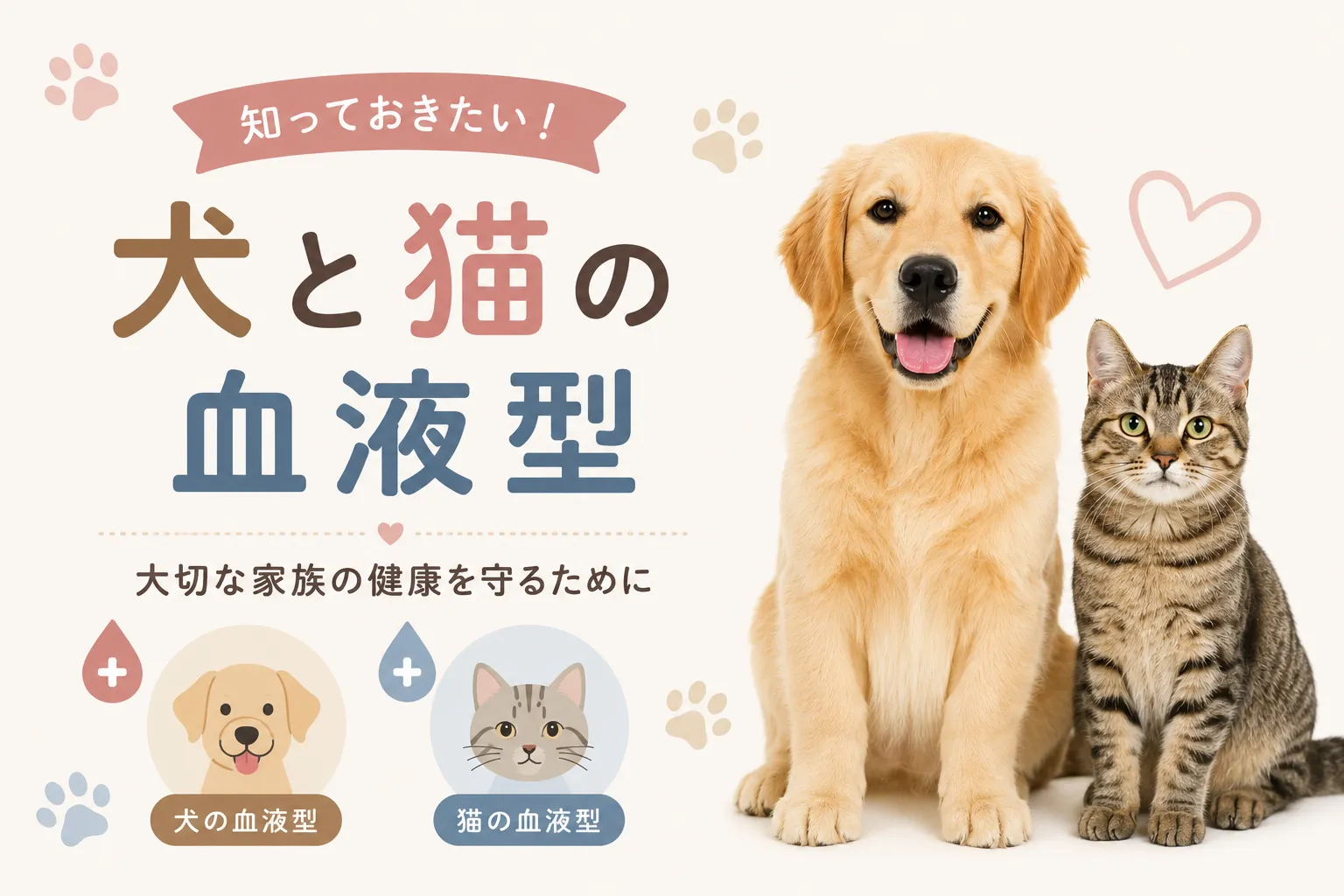 犬と猫の血液型について