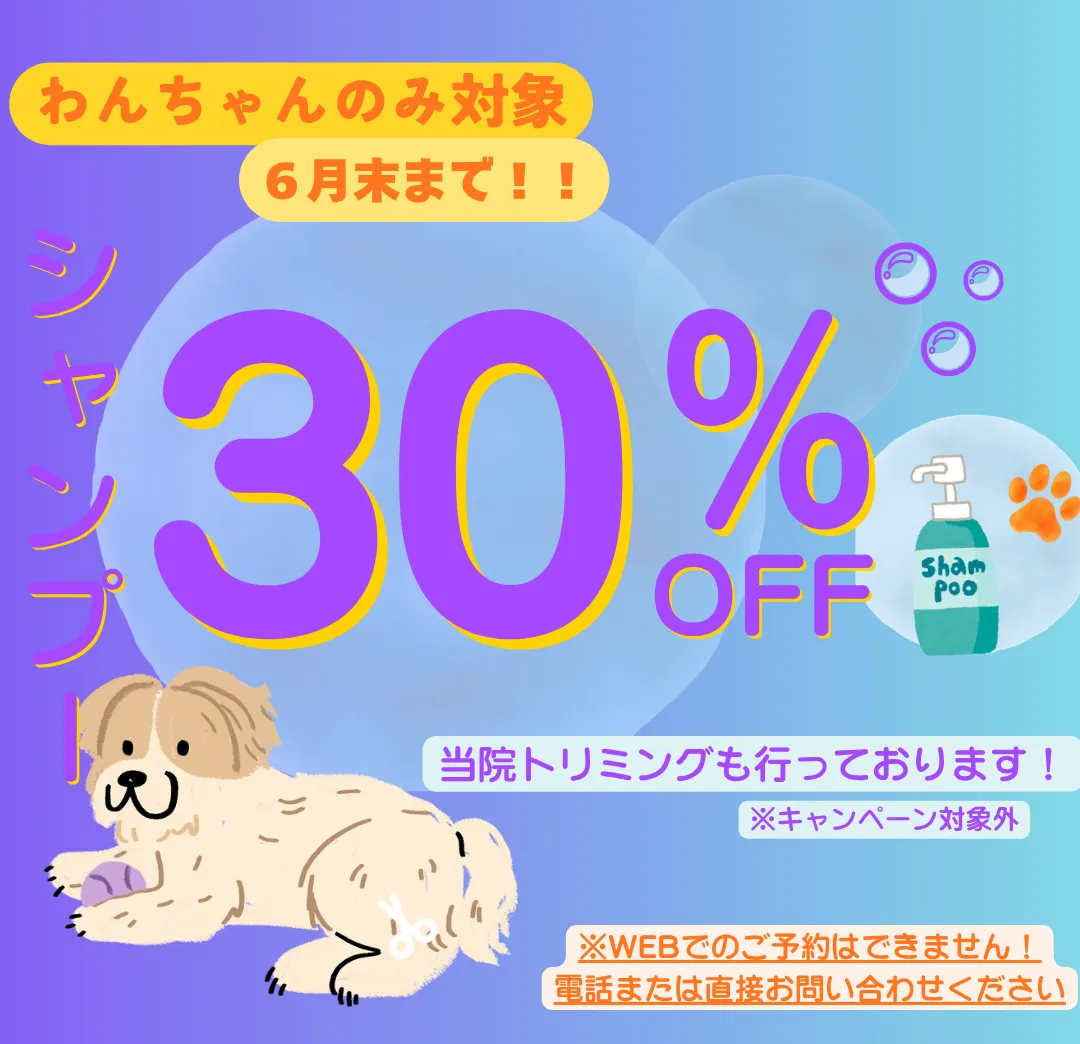 《６月末まで》シャンプーキャンペーン