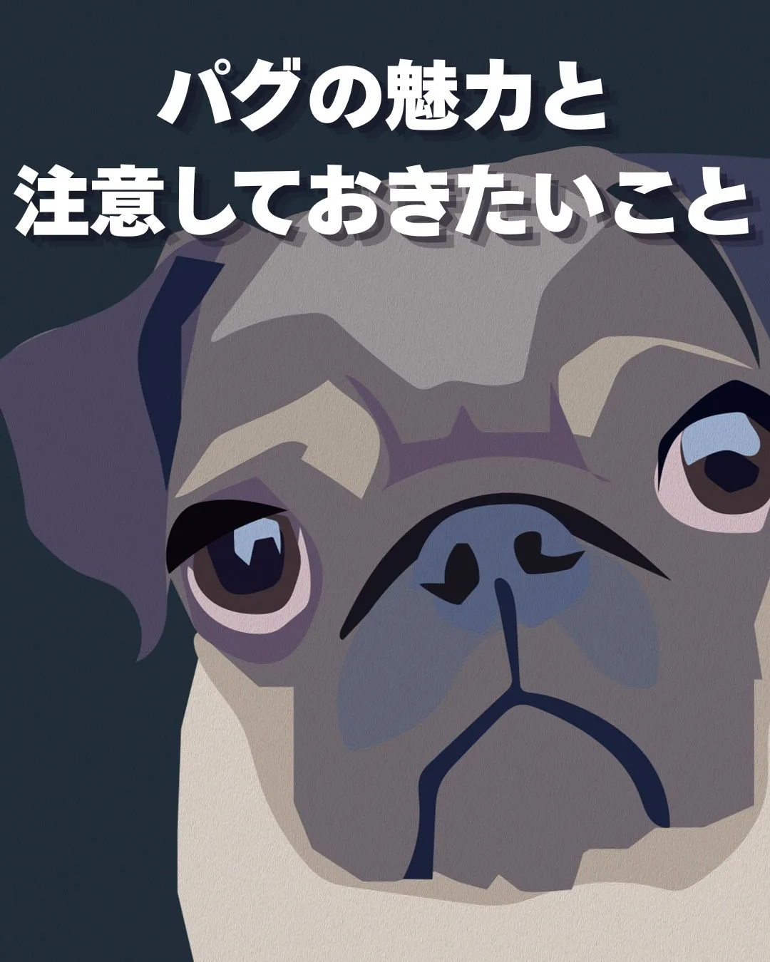 ≪パグの魅力と注意したいこと≫