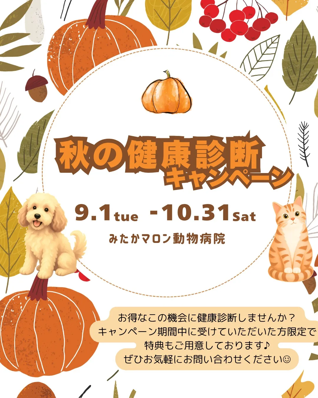 \\9・10月秋の健康診断キャンペーン実施のお知らせです🍂/...