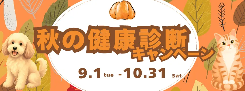 2026年 秋の健康診断キャンペーン🍂