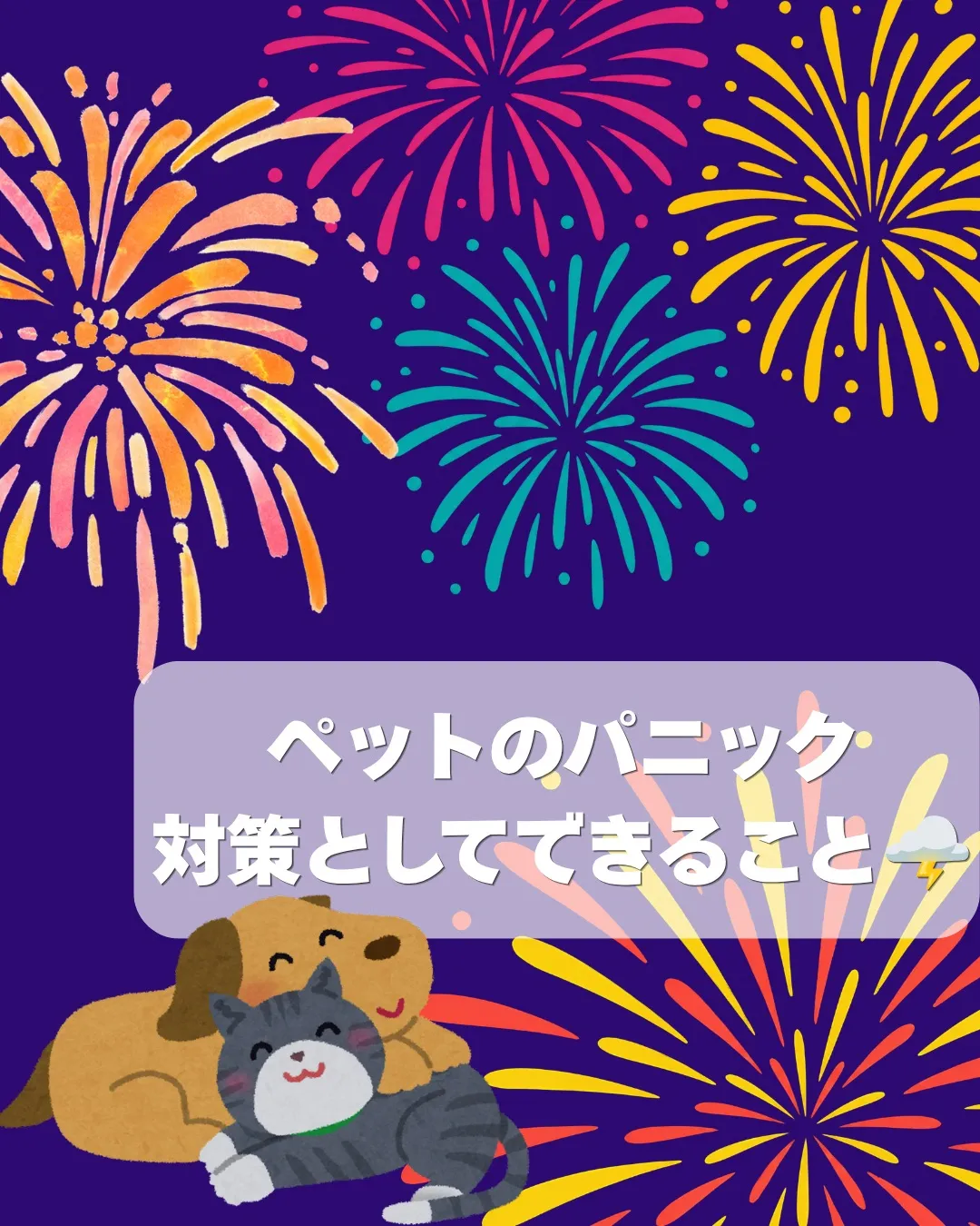 ≪ペットのパニック対策🎆🌩≫