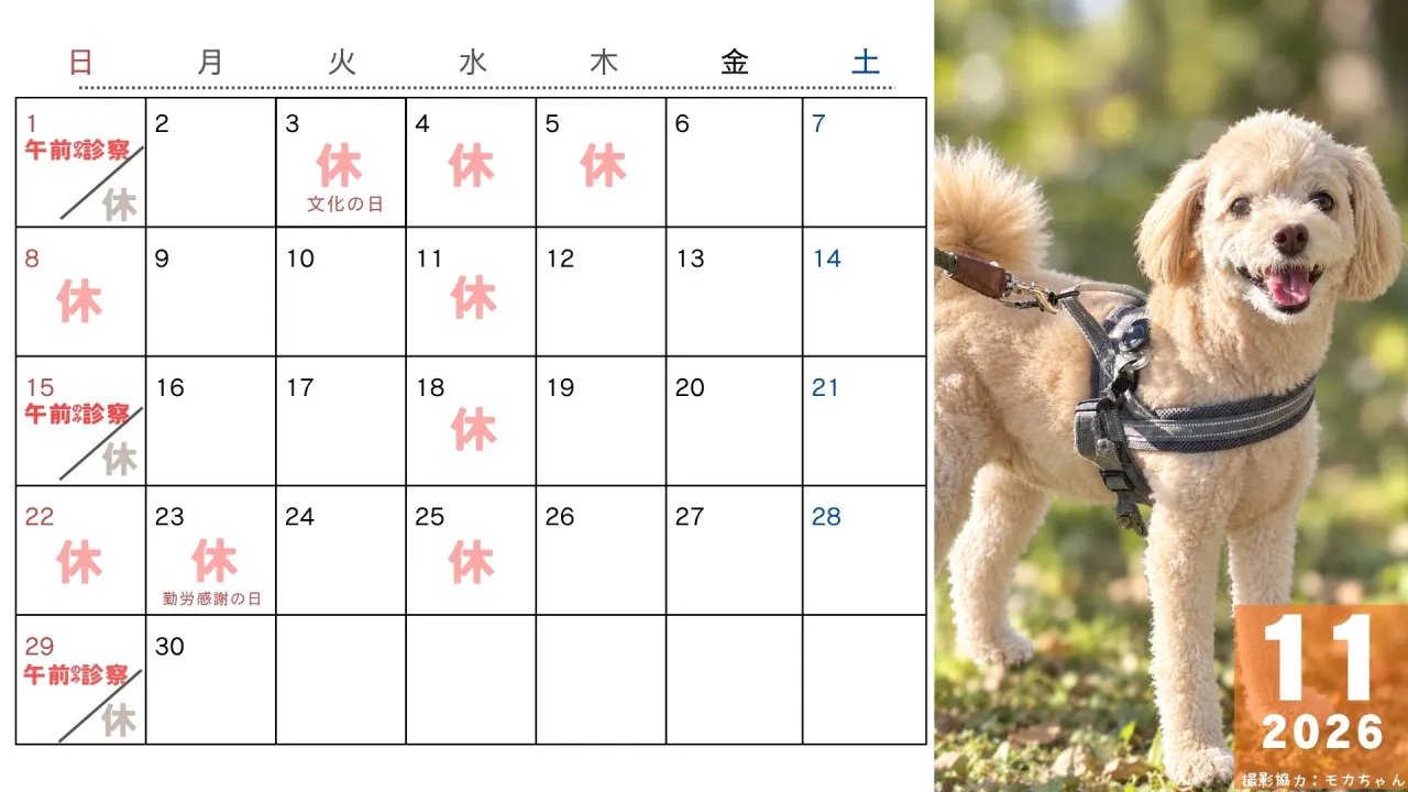 ≪11月カレンダーのお知らせ📢≫
