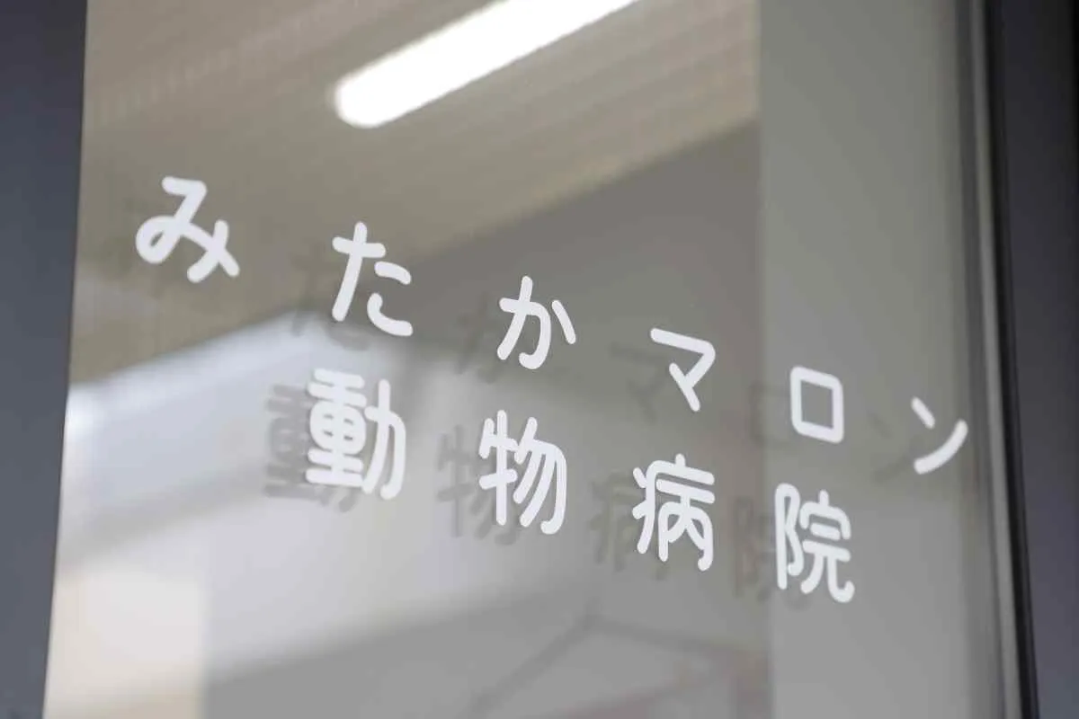 ～ペットと防災について考えよう～防災教室開催します！