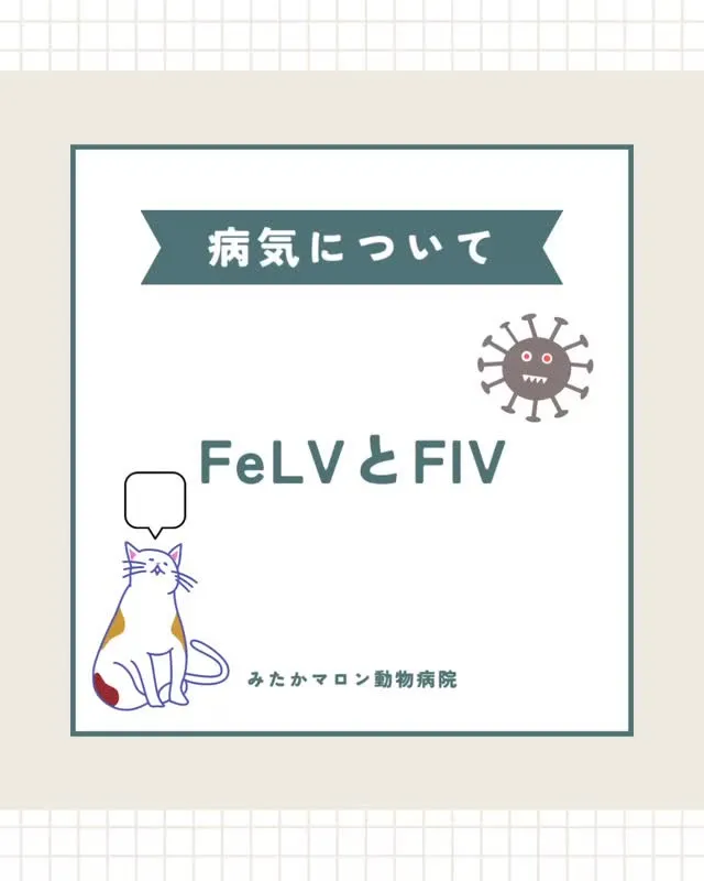 おはようございます🌞