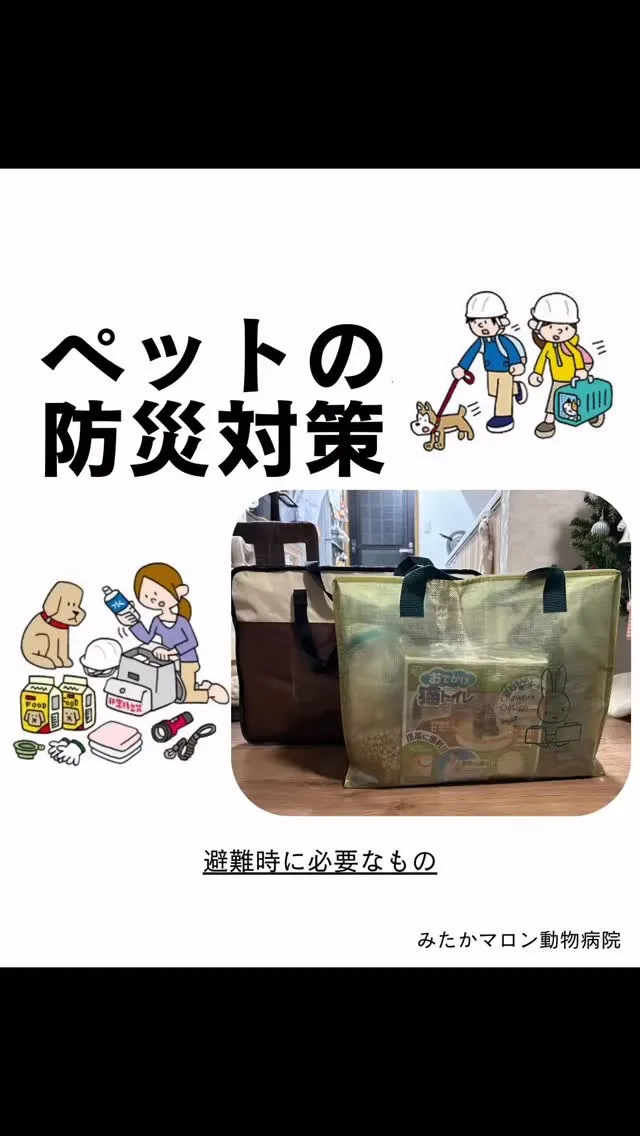 防災シリーズ、ブログに投稿しました⛑️