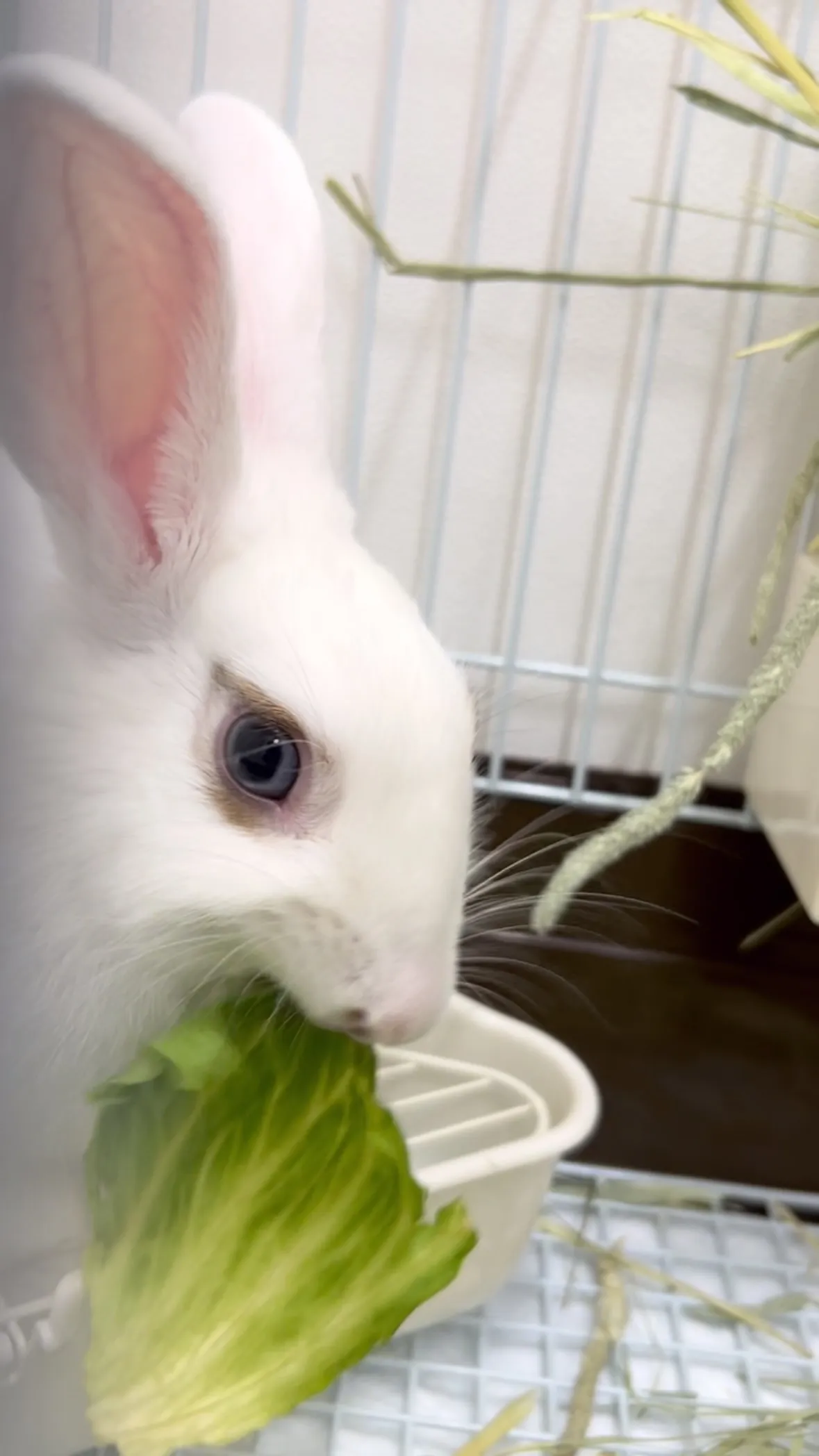 はじめまして！