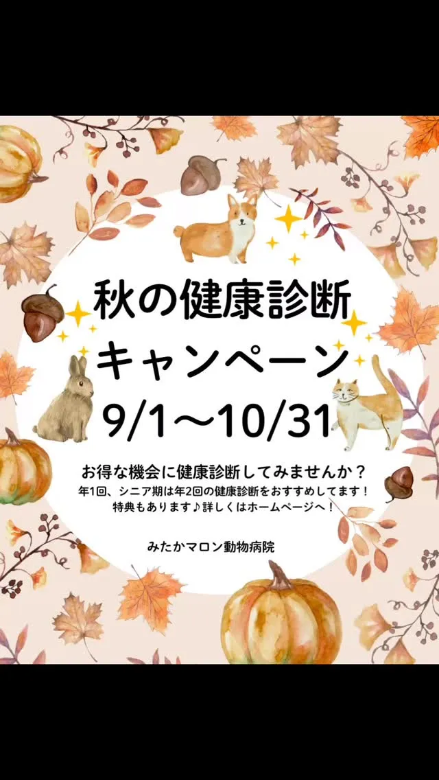 早いもので、もう8月も終わりです🌻