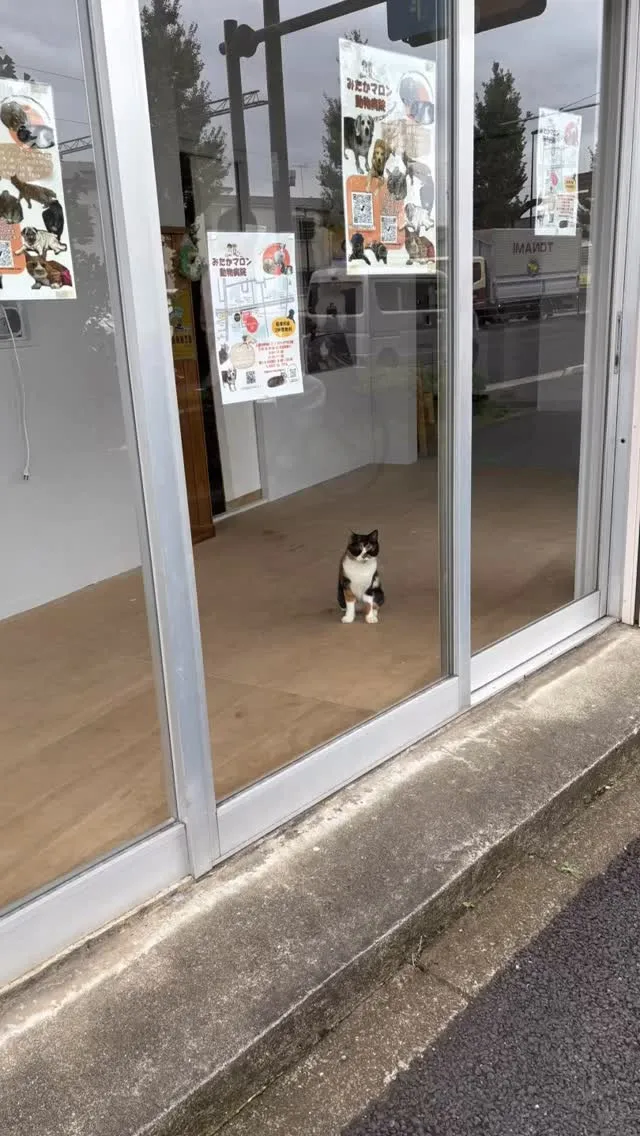 当院の近くのあの交差点を通るみなさまは会ったことがあるかと思...