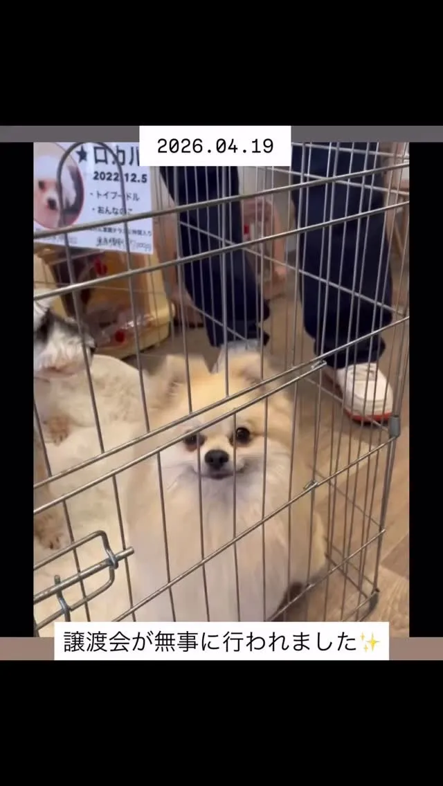 先日、当院にて里親テラス（@satooyaterasu_20...
