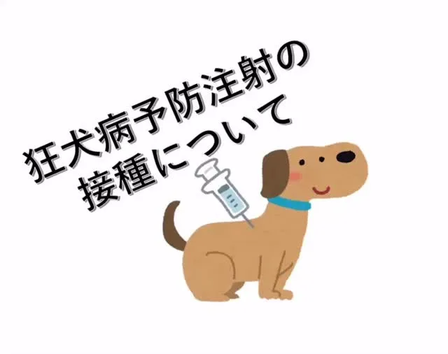 こんにちは！みたかマロン動物病院です🌰
