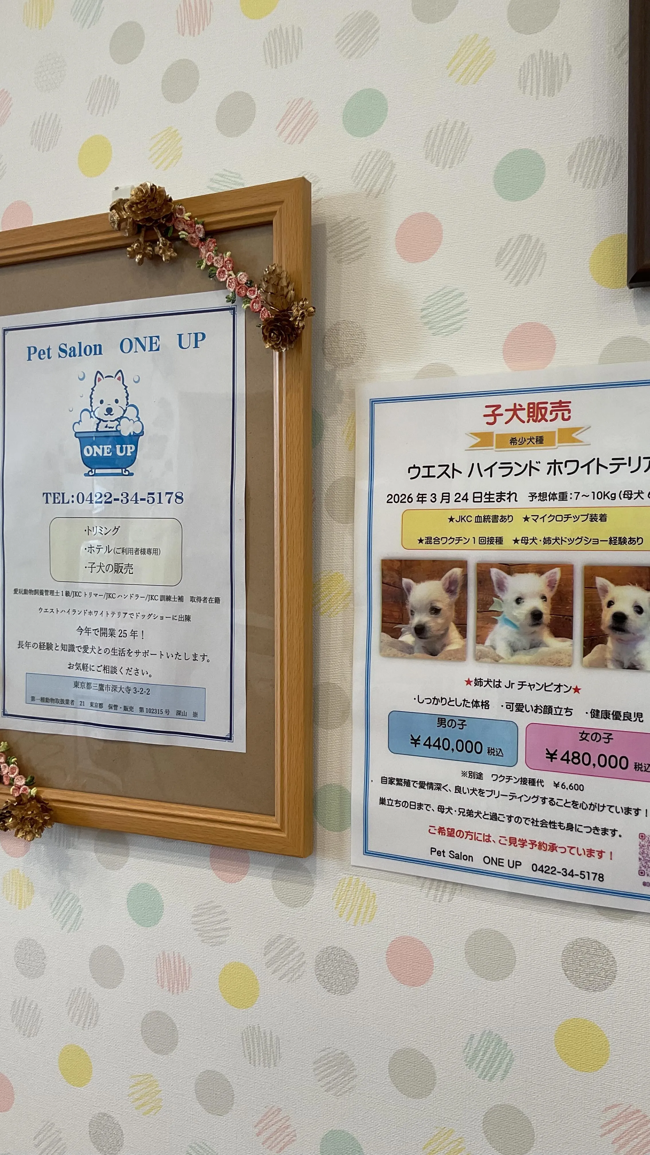 こんにちは🌞みたかマロン動物病院です🌰
