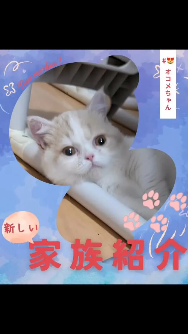 院長のおうちに、新しい家族が仲間入りしたのでご紹介します！