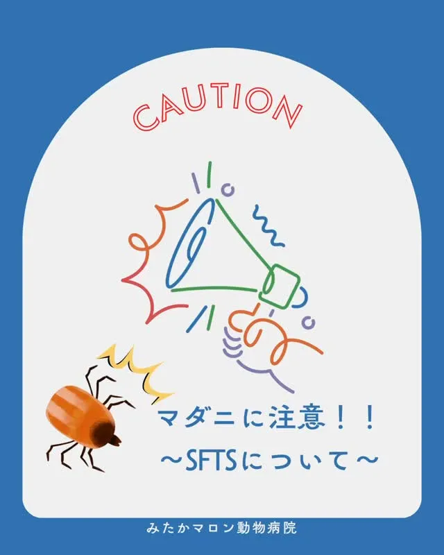 \\\これからの季節マダニに注意！SFTSについて///