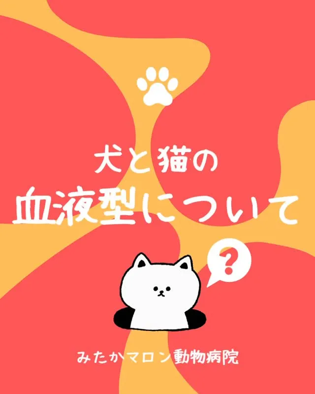 久しぶりにブログを書きました！