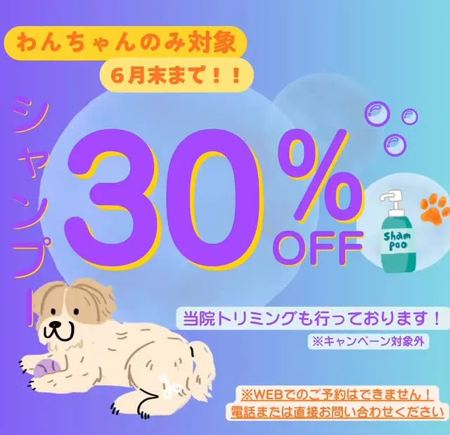 ≪シャンプーキャンペーンのお知らせ≫