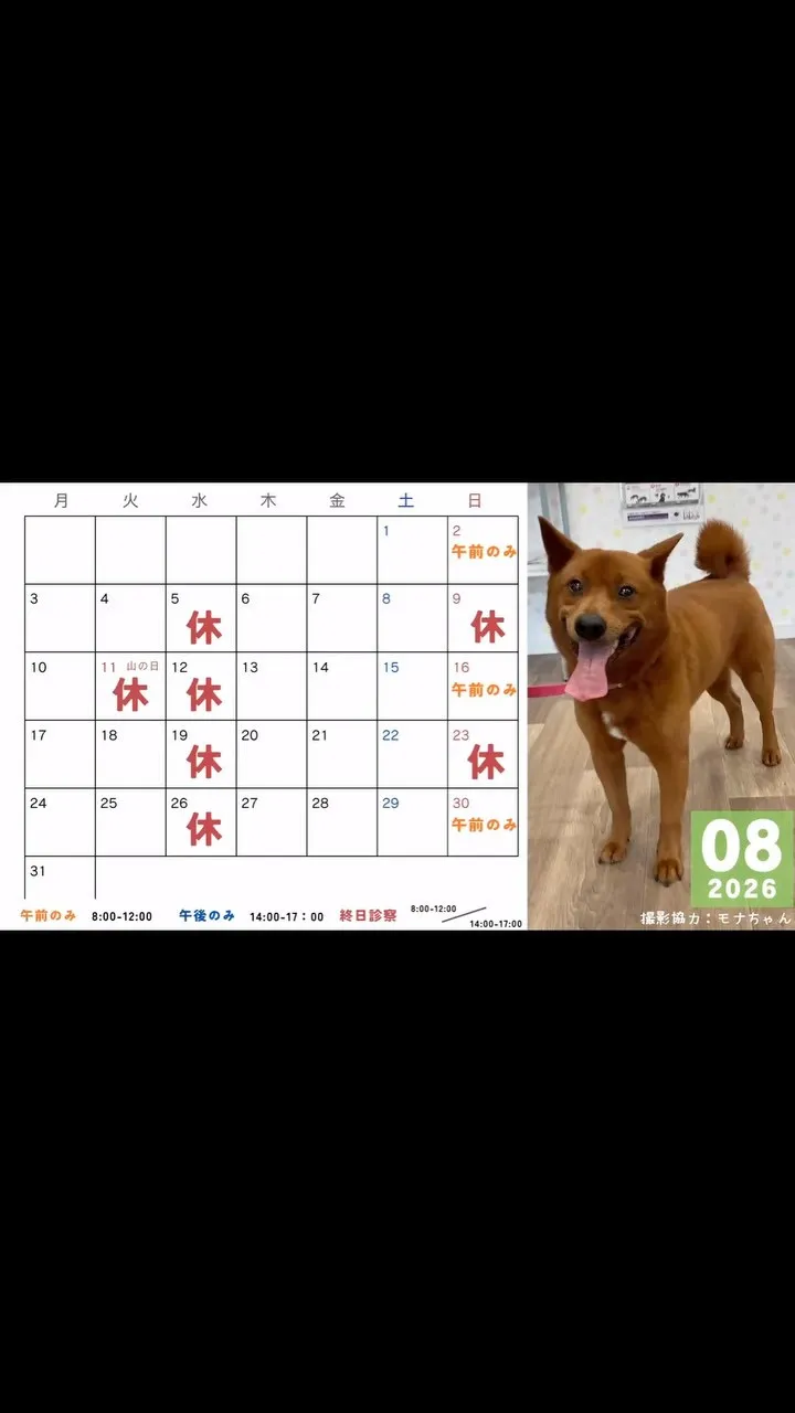 \\8月カレンダーのお知らせ📢//