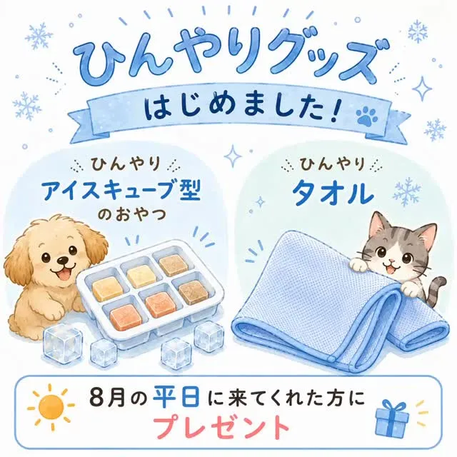 <<ひんやりタオル　または　ひんやりおやつプレゼント🍪🎁🐶🐱...